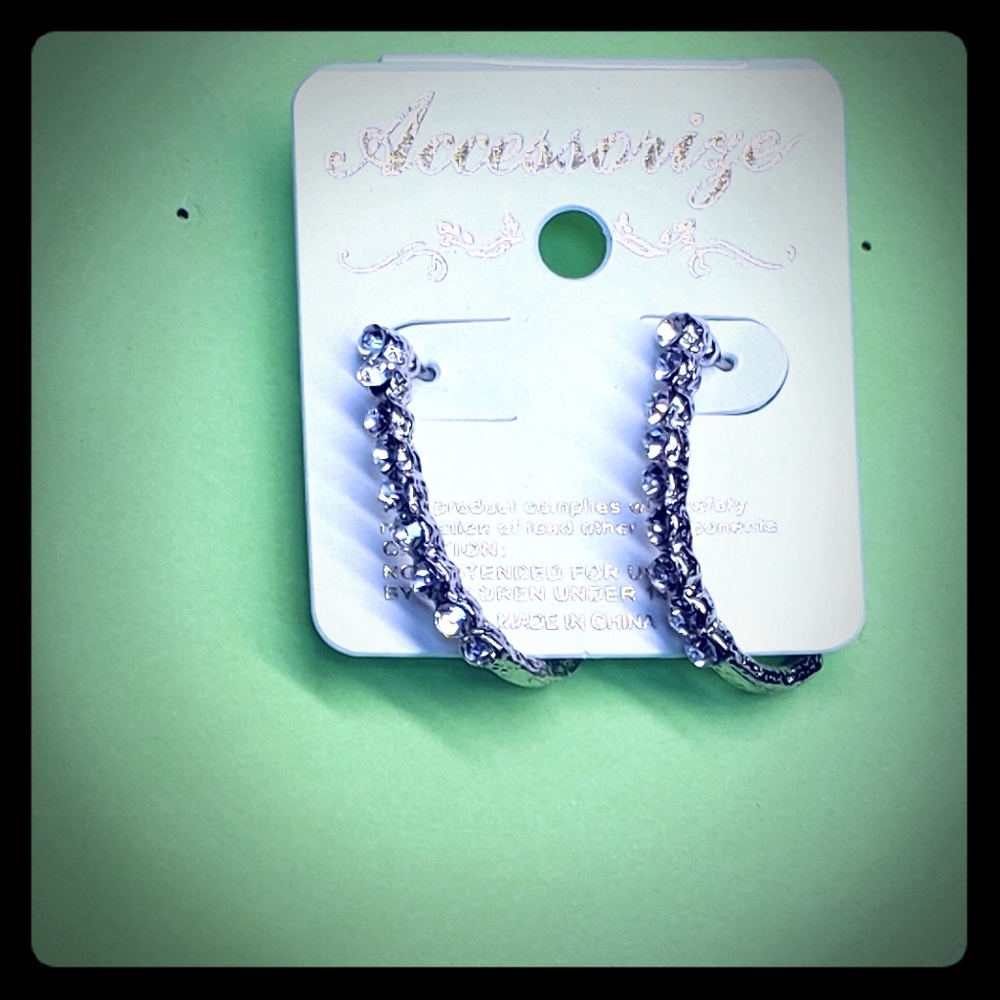 Rhinestone Diamond Loop Earrs